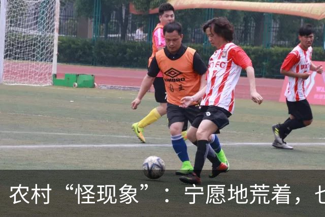 农村“怪现象”：宁愿地荒着，也不种粮食，把专家气够呛，咋回事